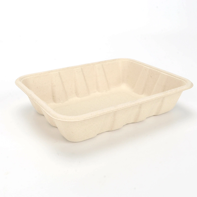 Biodegradable экологически дружелюбная устранимая коробка для завтрака для плодов Ntqw95025 Ut175 салата