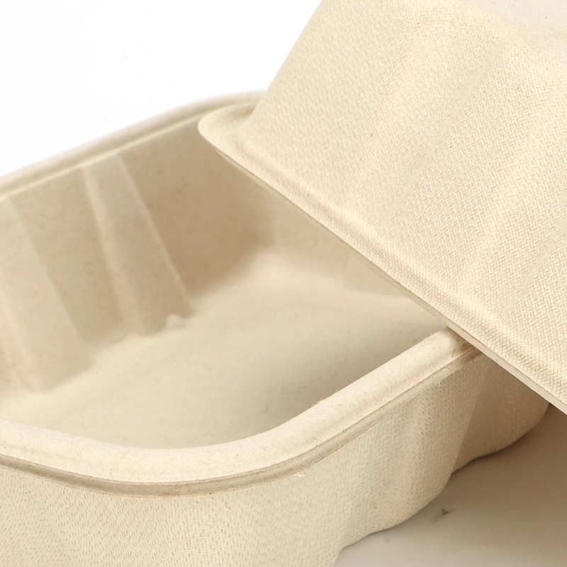 Biodegradable экологически дружелюбная устранимая коробка для завтрака для плодов Ntqw95025 Ut175 салата