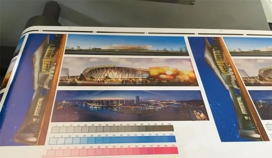 Бумажный мешок сплетенной ткани PVC печатной машины POF Flexo пластикового PE PP высокоскоростной не сплетенный