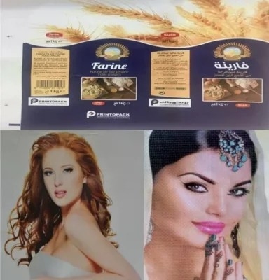 Печатная машина Flexo для ярлыков &amp; бумаги пластикового Rolls: HJ 6-520 УЛЬТРАФИОЛЕТОВОЕ с 1/6 ширинами печатания фабрики Prices#50-520mm