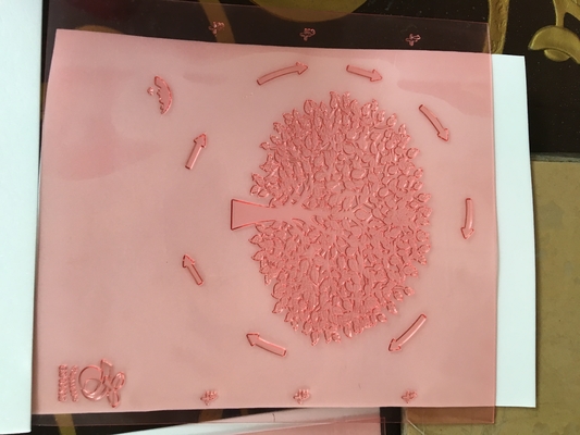 Высокий пропитанный смолой картон печатания Flexo разрешения отображая плиты Shimei цифров