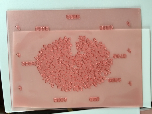 Смола нейлона плиты печатания 1.7mm Photopolymer высокоскоростная Flexo